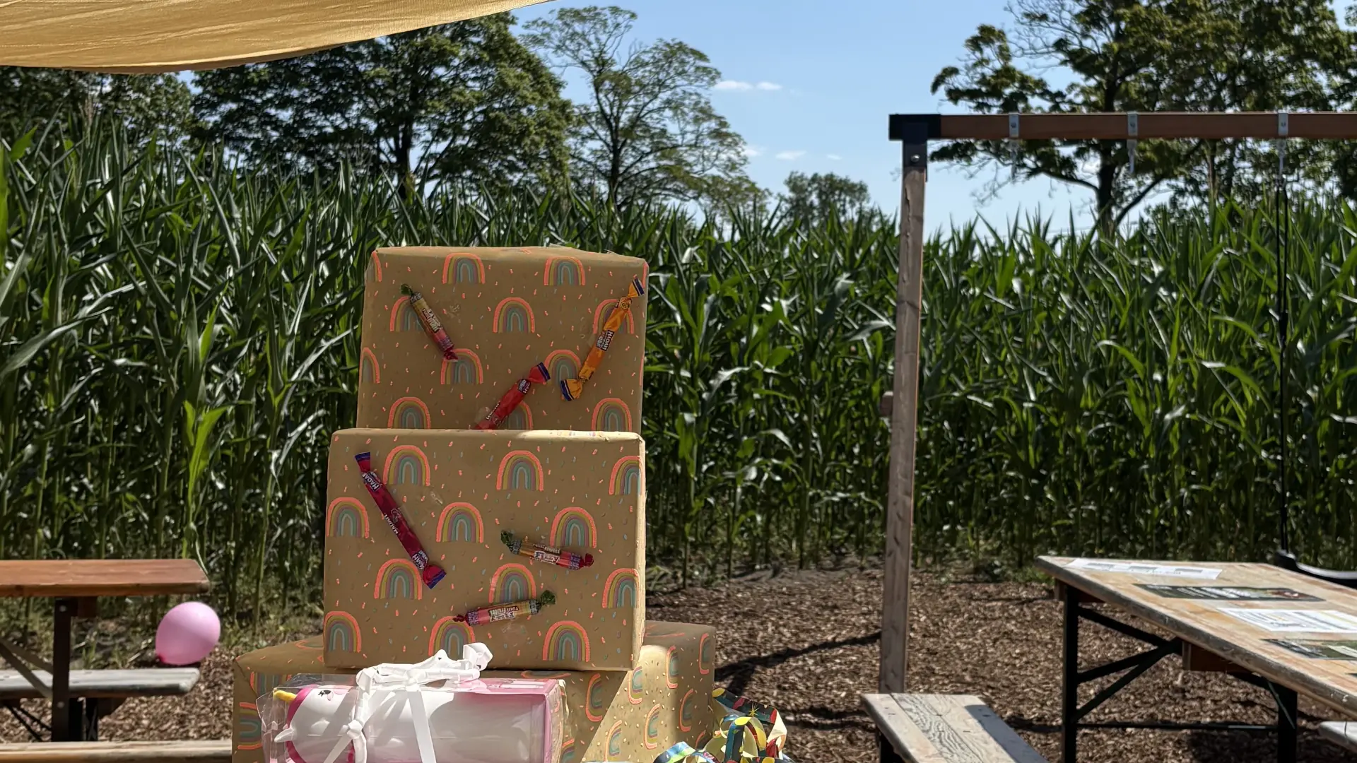 kindergeburtstag-besonders-maislabyrinth-werne-hamm